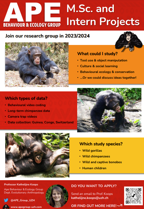 Recruitment Poster for MSc and Internship projects in the APE group