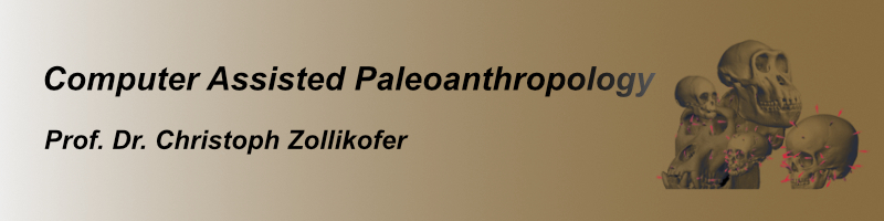 Palaeoanthropology