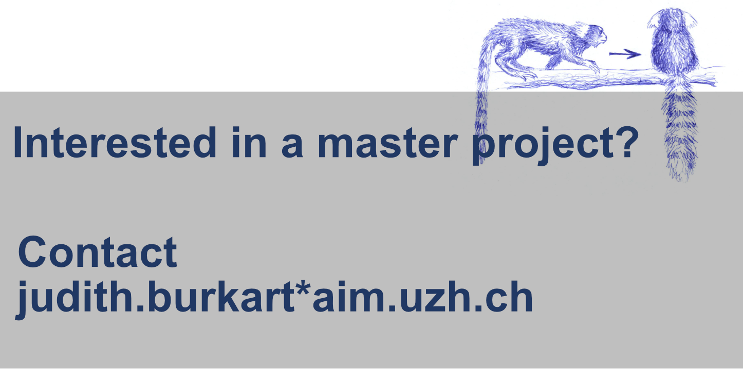 Master Project