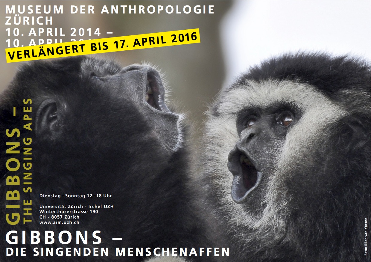 Gibbon Ausstellung