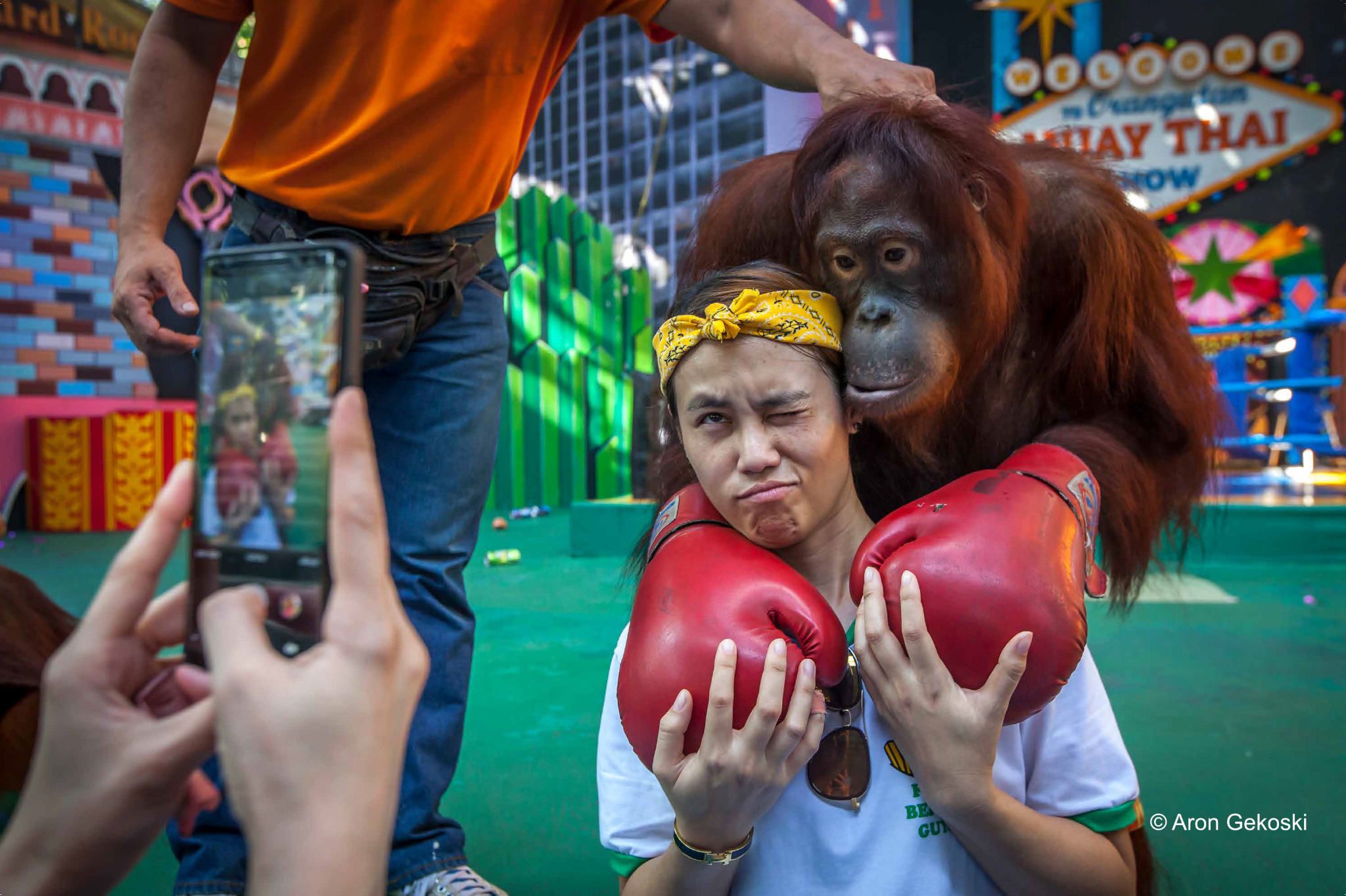 Orang Utan 2
