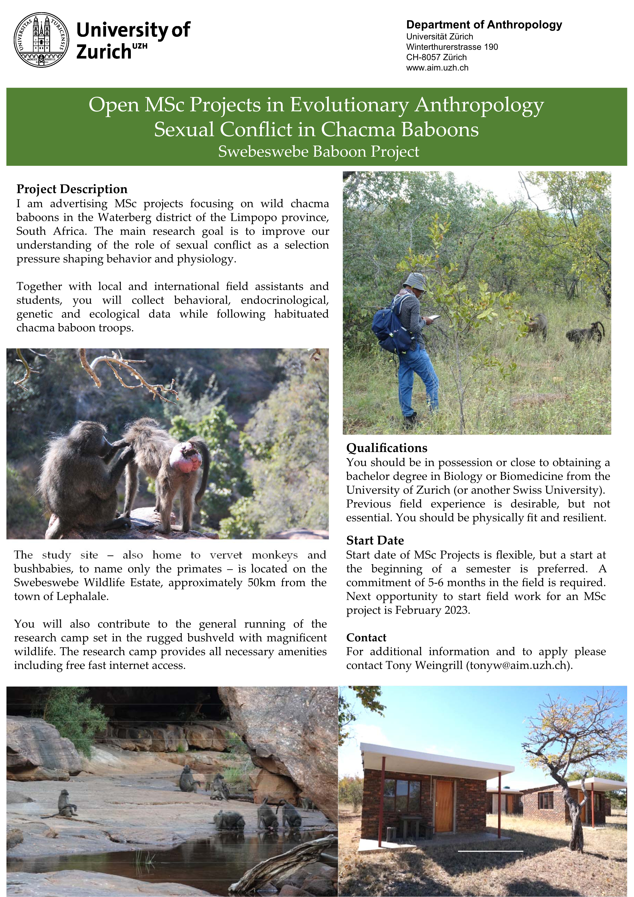 Open MSc Projects in Evolutionary Anthropology Sexual Conflict in Chacma Baboons Swebeswebe Baboon Project